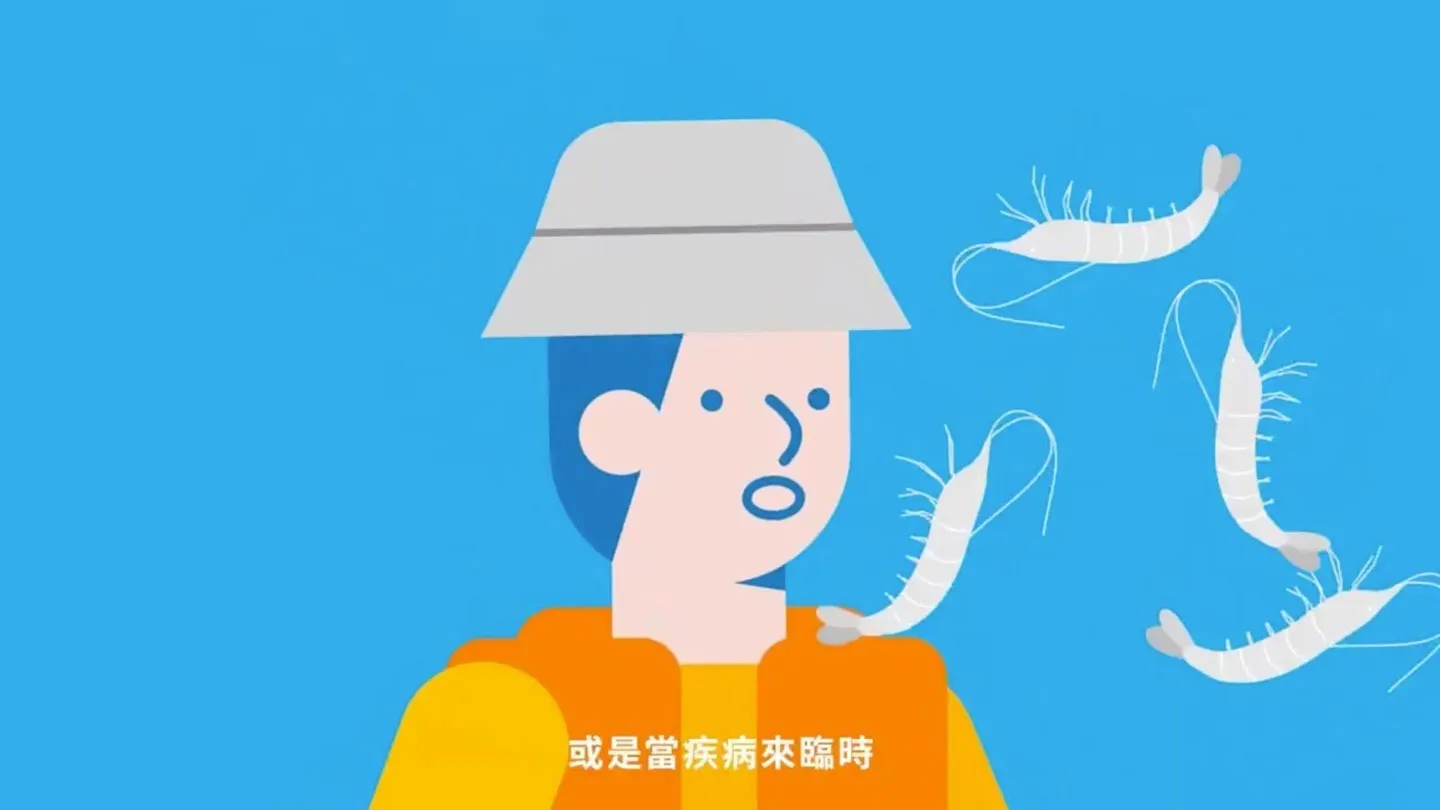 養殖戶面對蝦隻疾病的動畫插畫